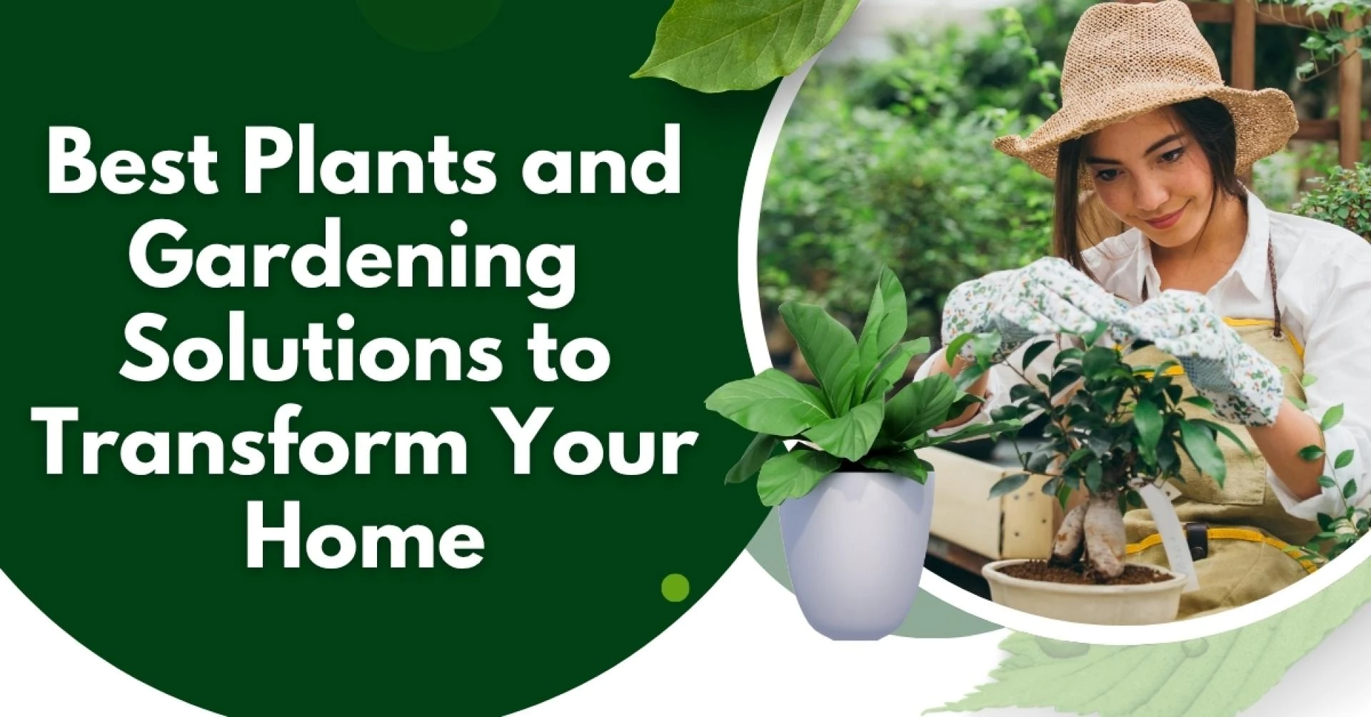 Best Plants and Gardening Solutions to Transform Your Home