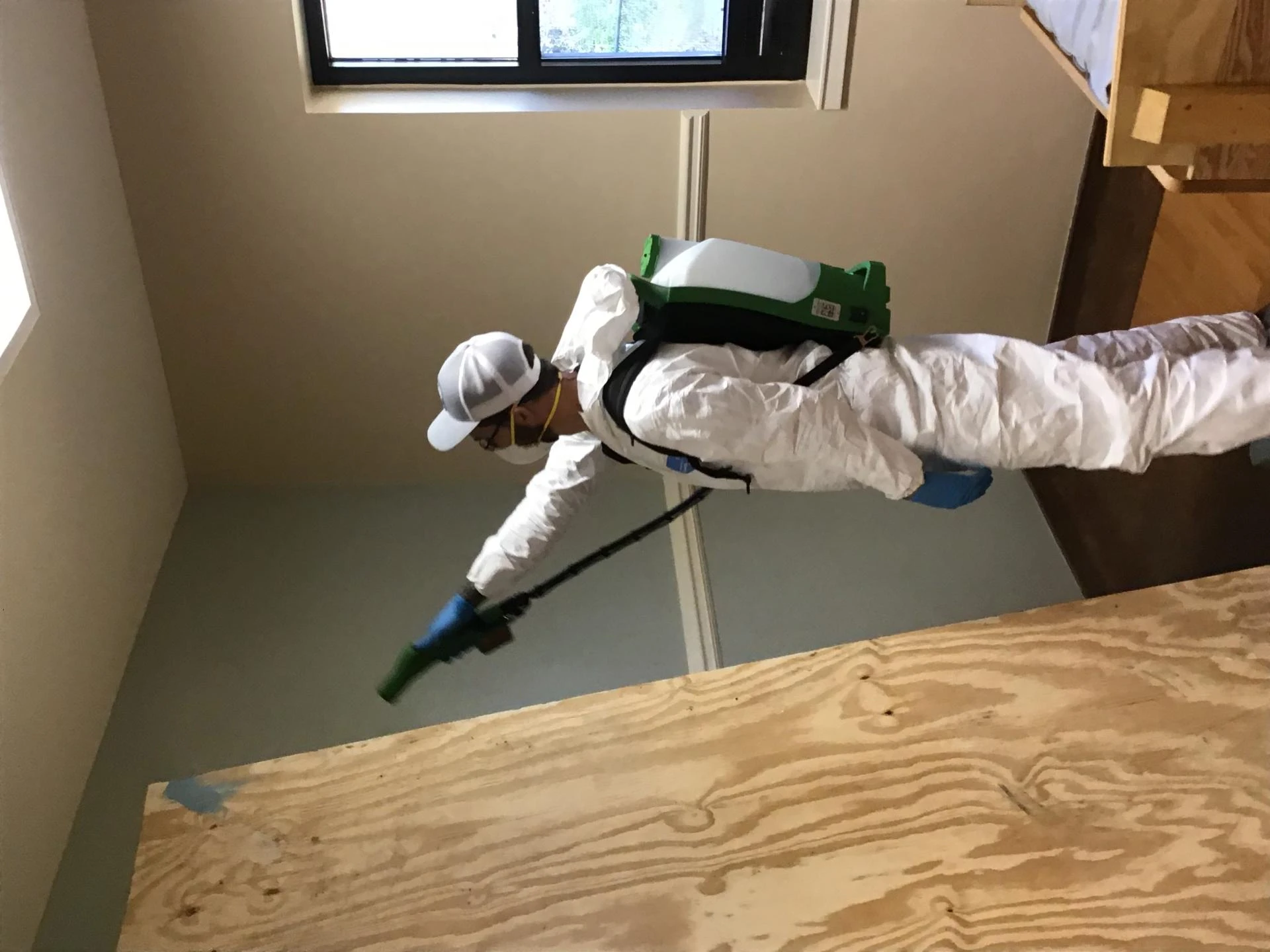 Comprehensive Mold Remediation Services in Alpharetta, Georgia
