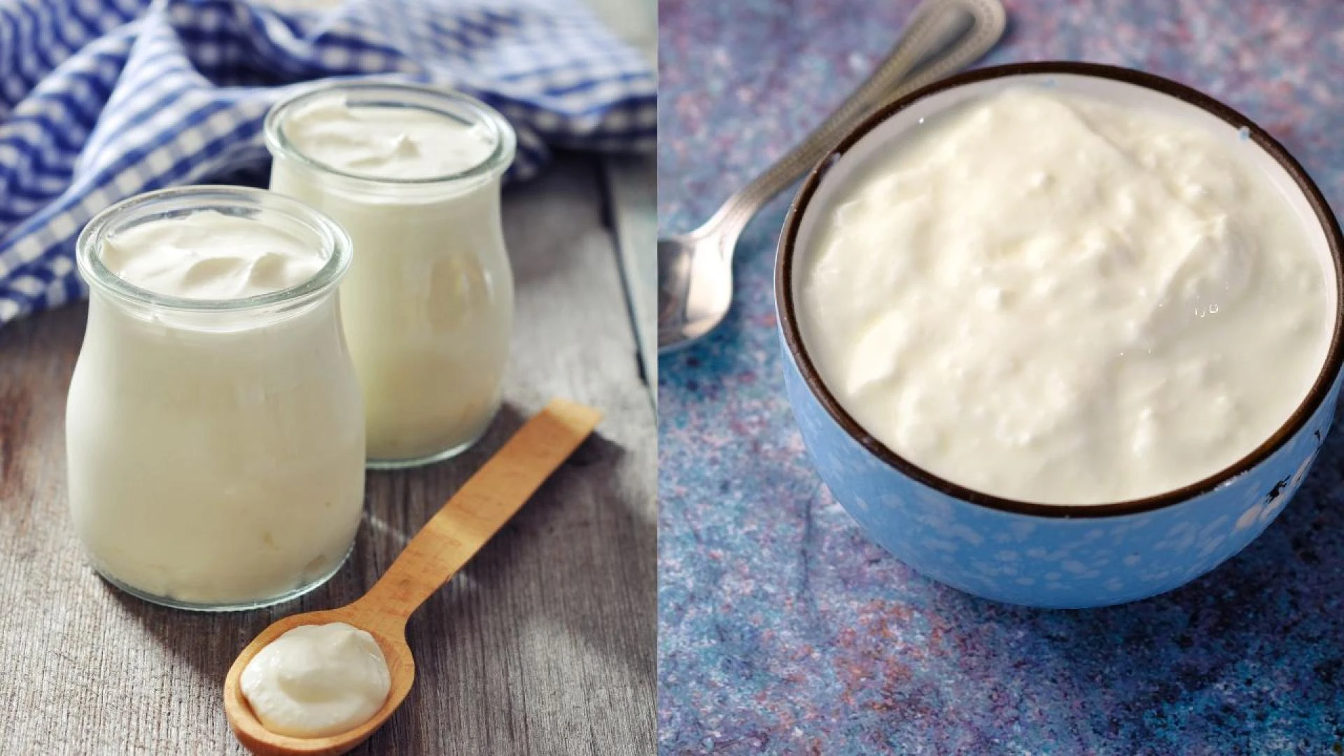 Why Greek Yogurt Deserves a Spot in Your Daily Routine