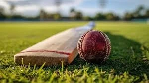 Top-Grade Cricket Turf Manufacturer in India