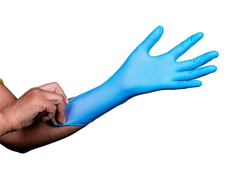 PPE Gloves 2025