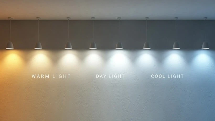 Curb Appeal and Functionality with Wall Sconces and Driveway Lights