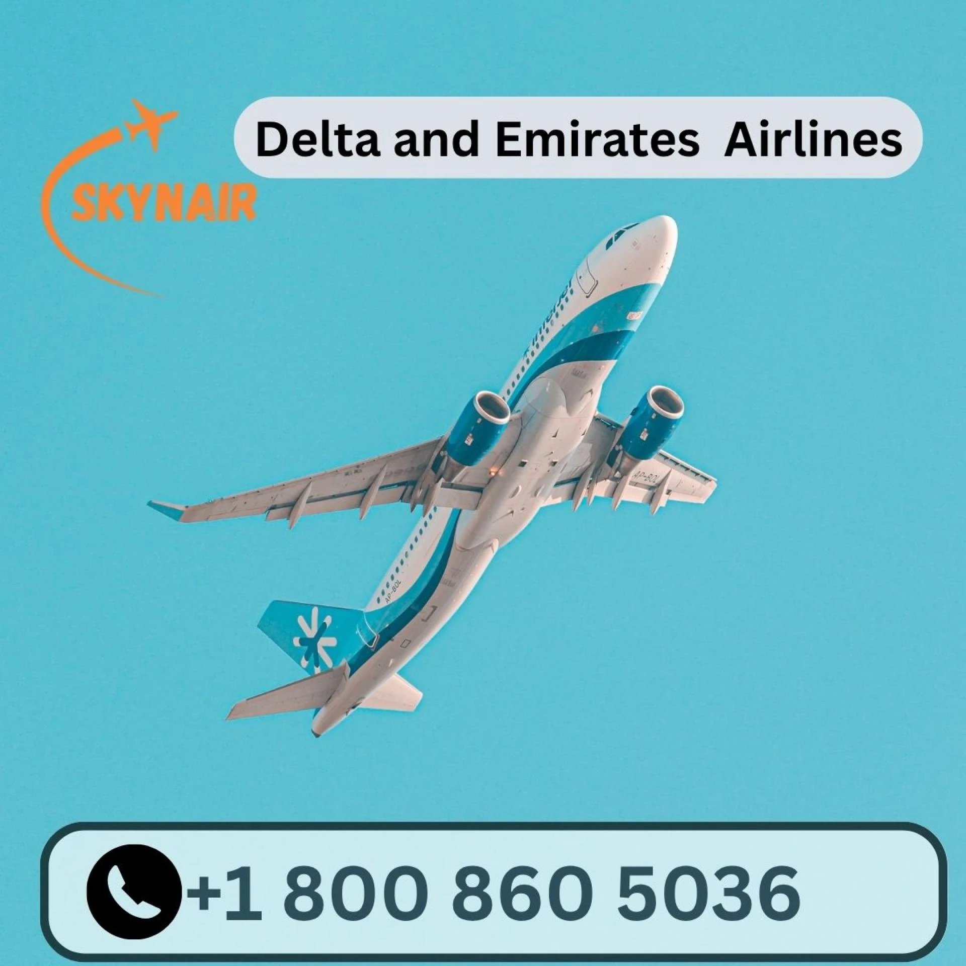 Need Help with Delta Check In? Let’s Make It Easy! 