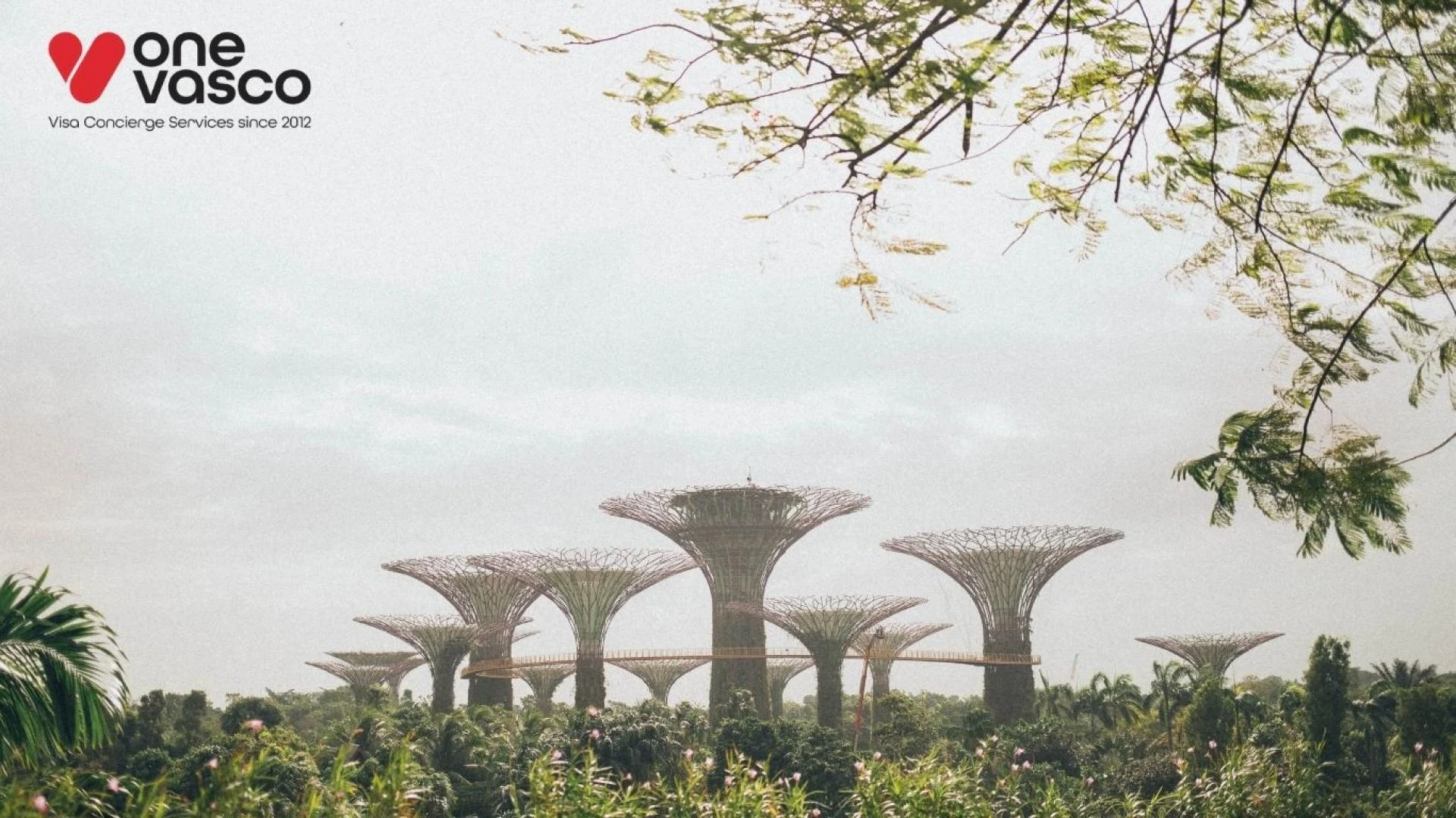 Best Places to Visit While on a Honeymoon in Singapore