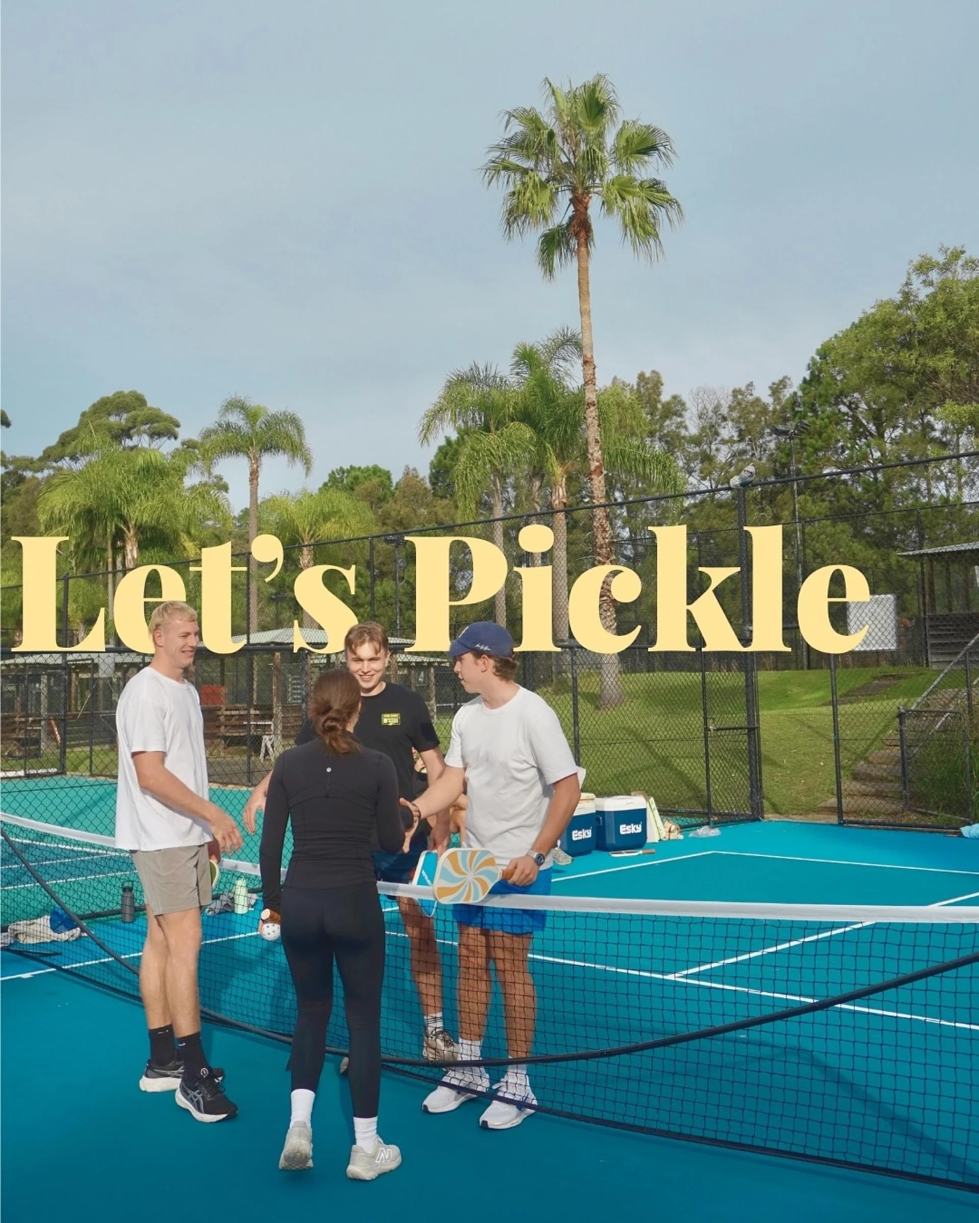 Elevate Your Game with Silent Pickleballs and Custom Paddles from Picklepulse