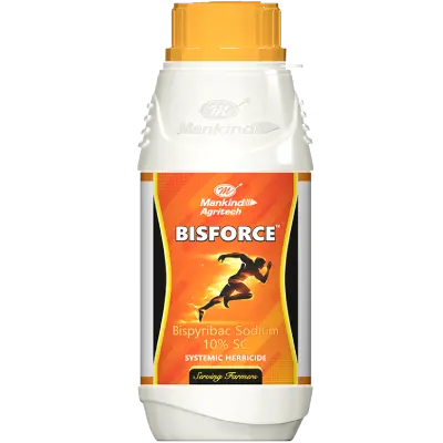 Best Practices for Using Maize Herbicide to Maximize Yield 