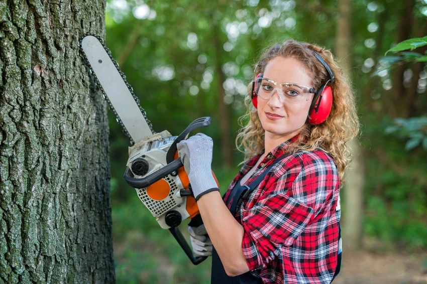 How to Find the Best Arborists Near Me for Safe, Professional Tree Care