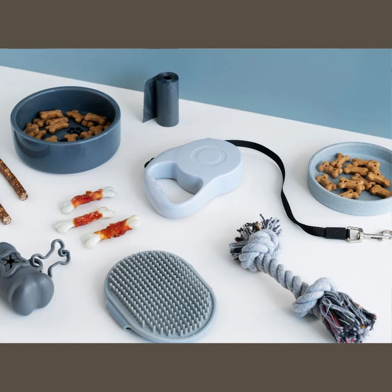 From Essentials to Extras: How to Build the Ultimate Dog Walking Setup