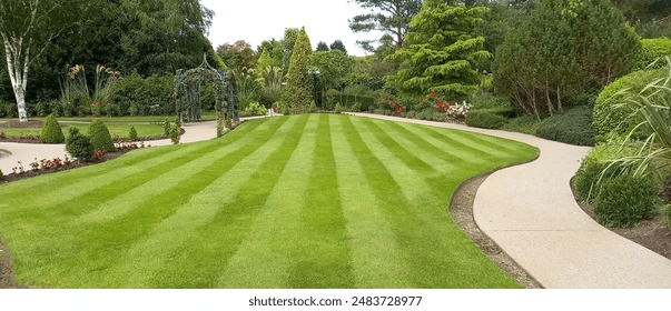 How to Keep Your Lawn Healthy All Year with Residential Landscaping in Manassas, VA