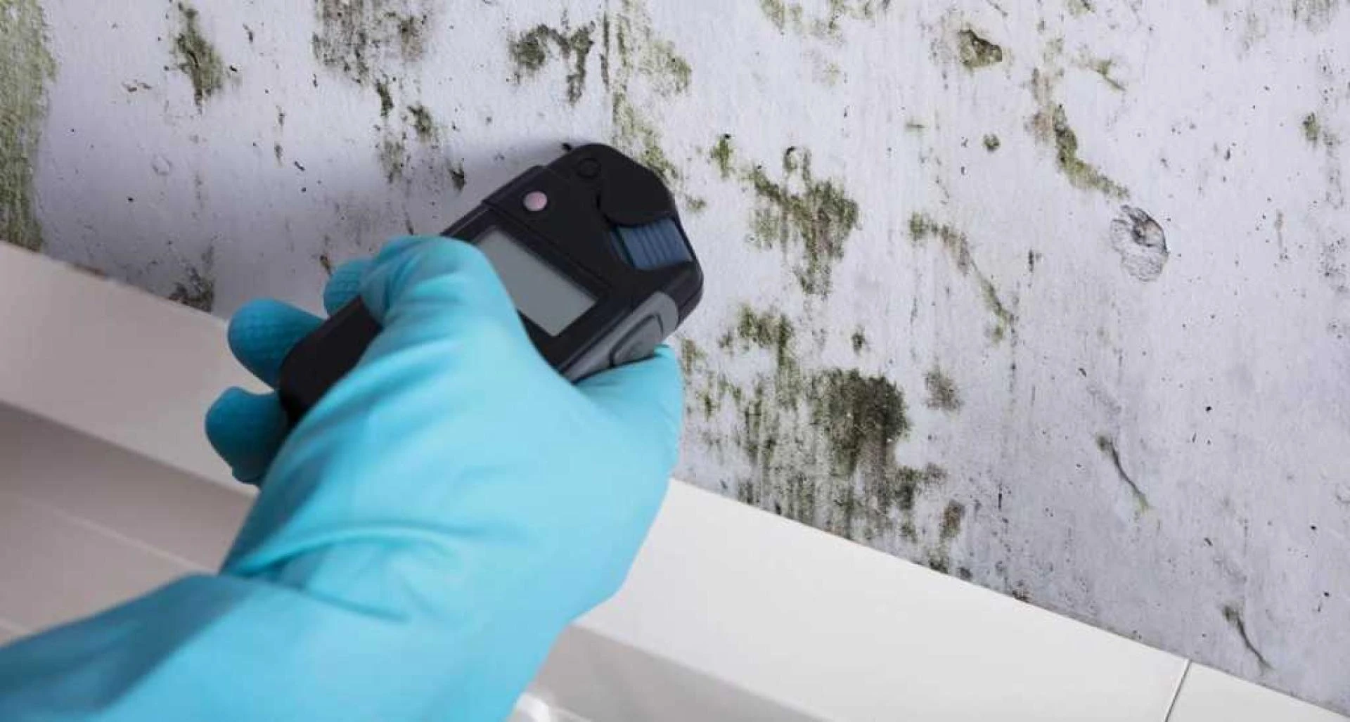 Trusted Mold Testing and Remediation Services in Batavia, NY