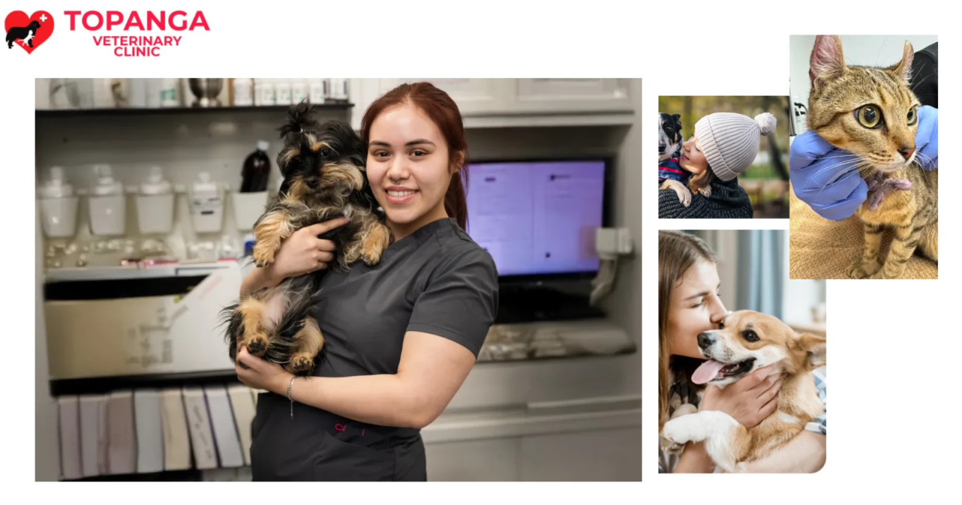 Emergency Pet Care Tips from the Top Affordable Vet Clinic in Northridge, CA