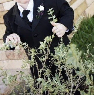 Essential Things To Consider When Looking For Boys Suits To Buy