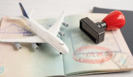 How to Easily Use the Egypt Visa Check Status and Eligibility Checker Tool