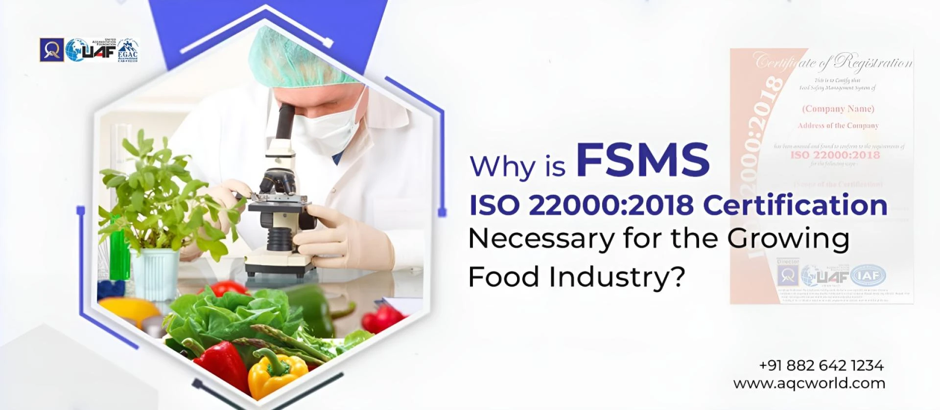 Why is FSMS ISO 22000:2018 Certification Necessary for the Growing Food Industry?