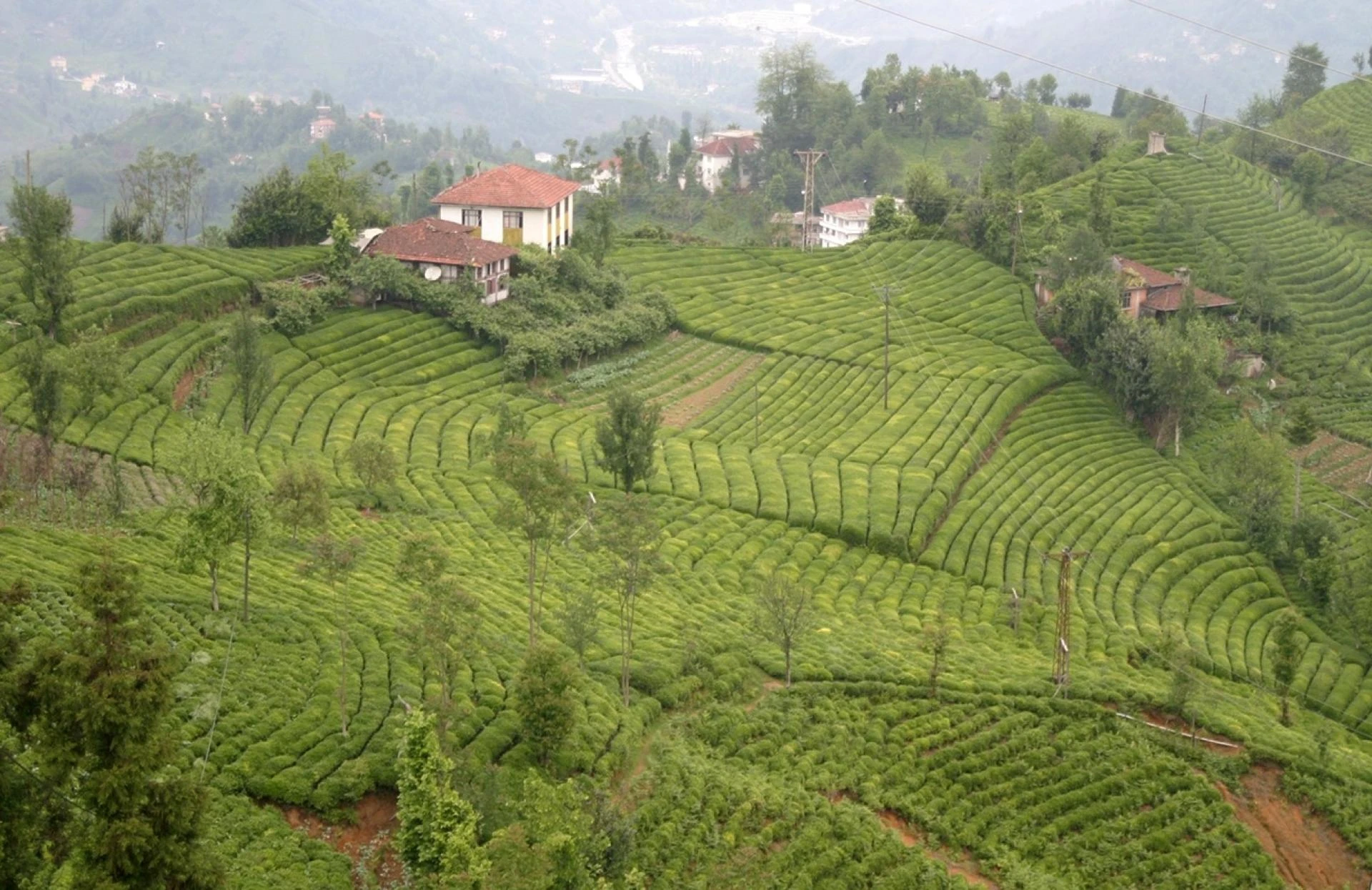 A Culinary Journey Through Turkey: Food, Flavor & Festivities