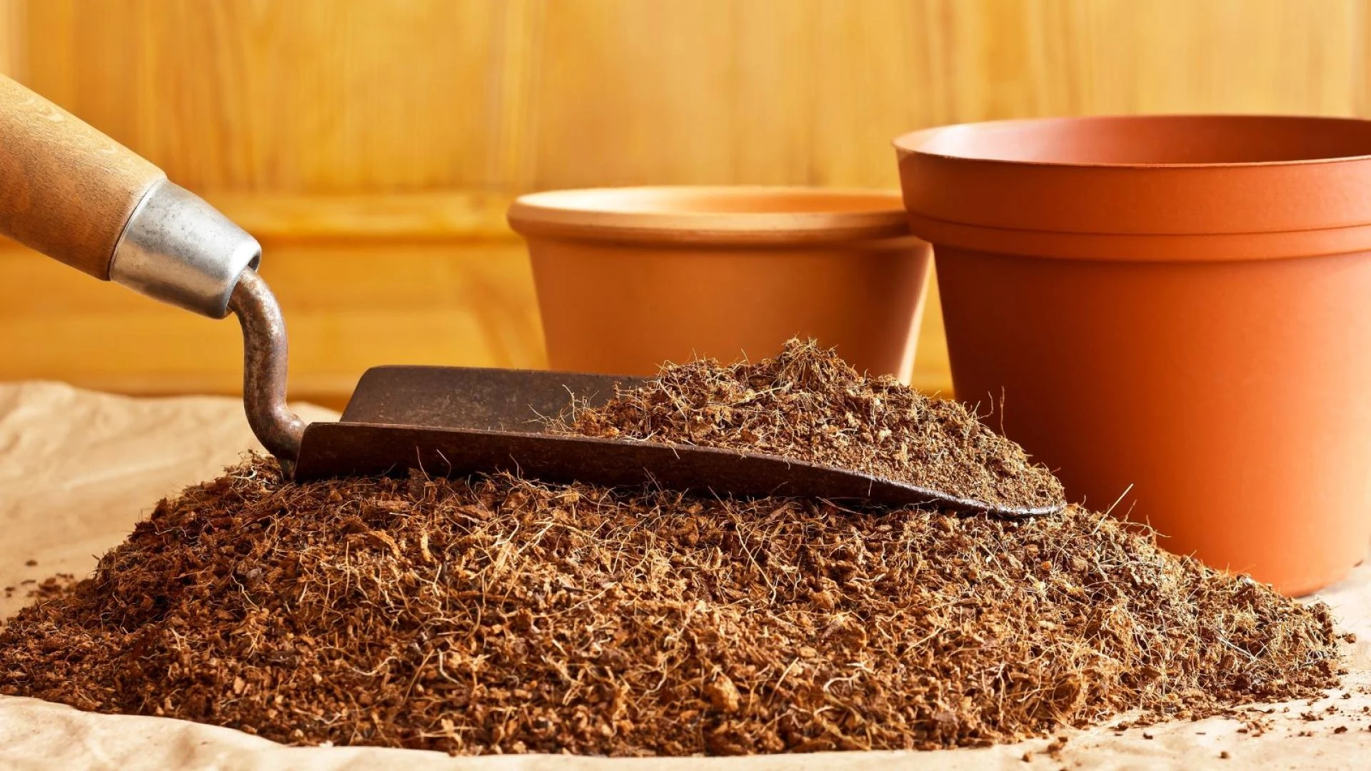 Unlock the Secrets of Sustainable Gardening with Plantbest's Coconut Coir