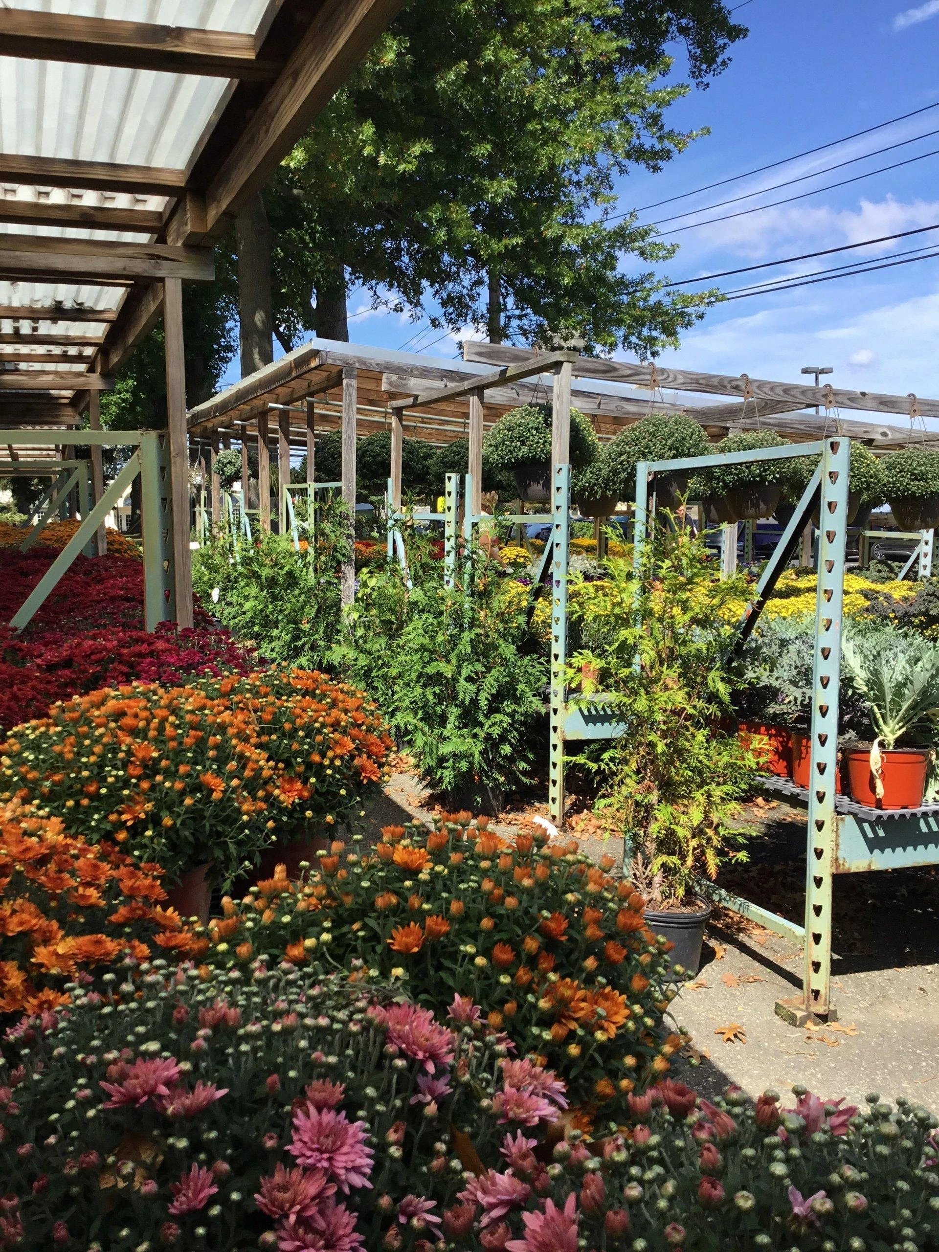 Transform Your Yard with Long-Lasting Greenery
