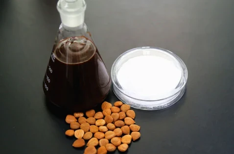 Professional Supplier of Apricot Kernels and Chinese Traditional Medicine