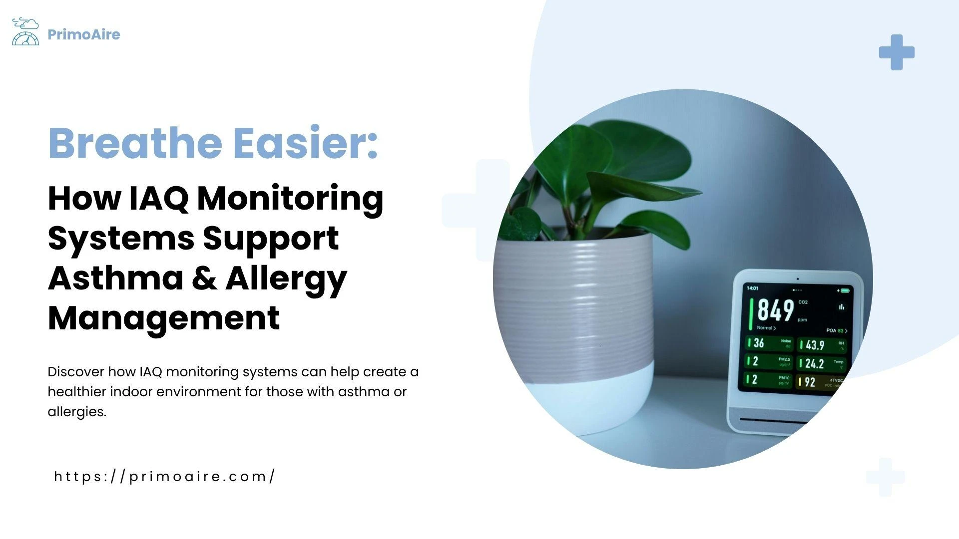 Can IAQ Monitoring Systems Help Manage Asthma or Allergies?