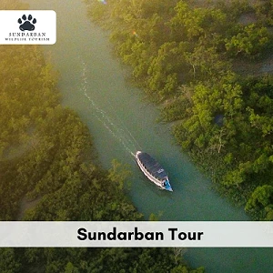 What Documents Are Required to Book a Sundarban Tour Package