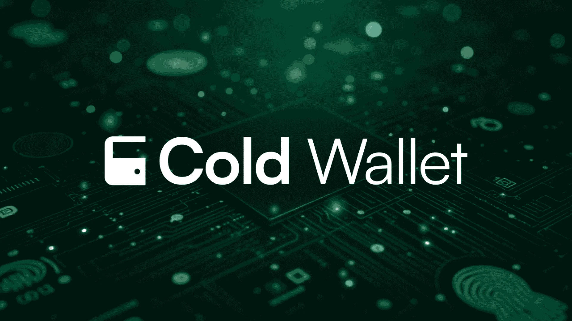 What Makes This the Best Cold Wallet for 2025 and Beyond?