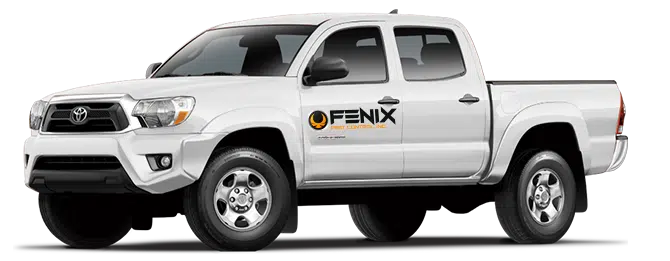 Comprehensive Home Pest Control Services in Iowa