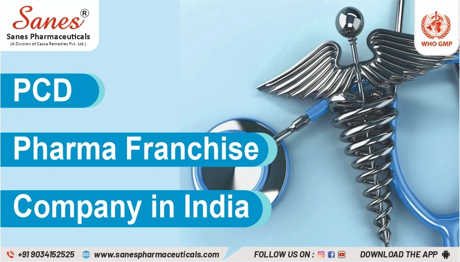 PCD Pharma Franchise: A Business Anyone Can Start