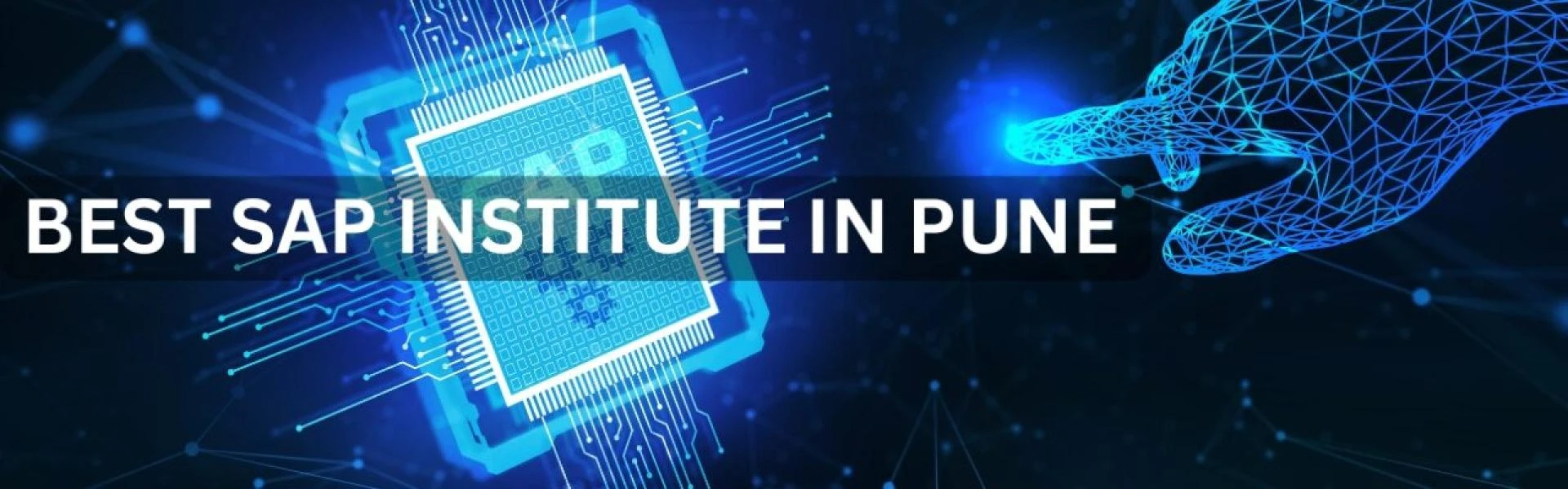 Top 5 Things to Look for in a Quality SAP Institute