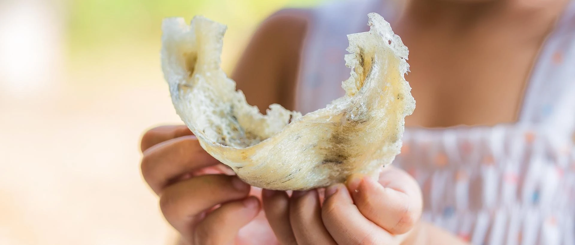 Discover the Health Secrets of Swallow Bird Nest: A Superfood Worth the Hype