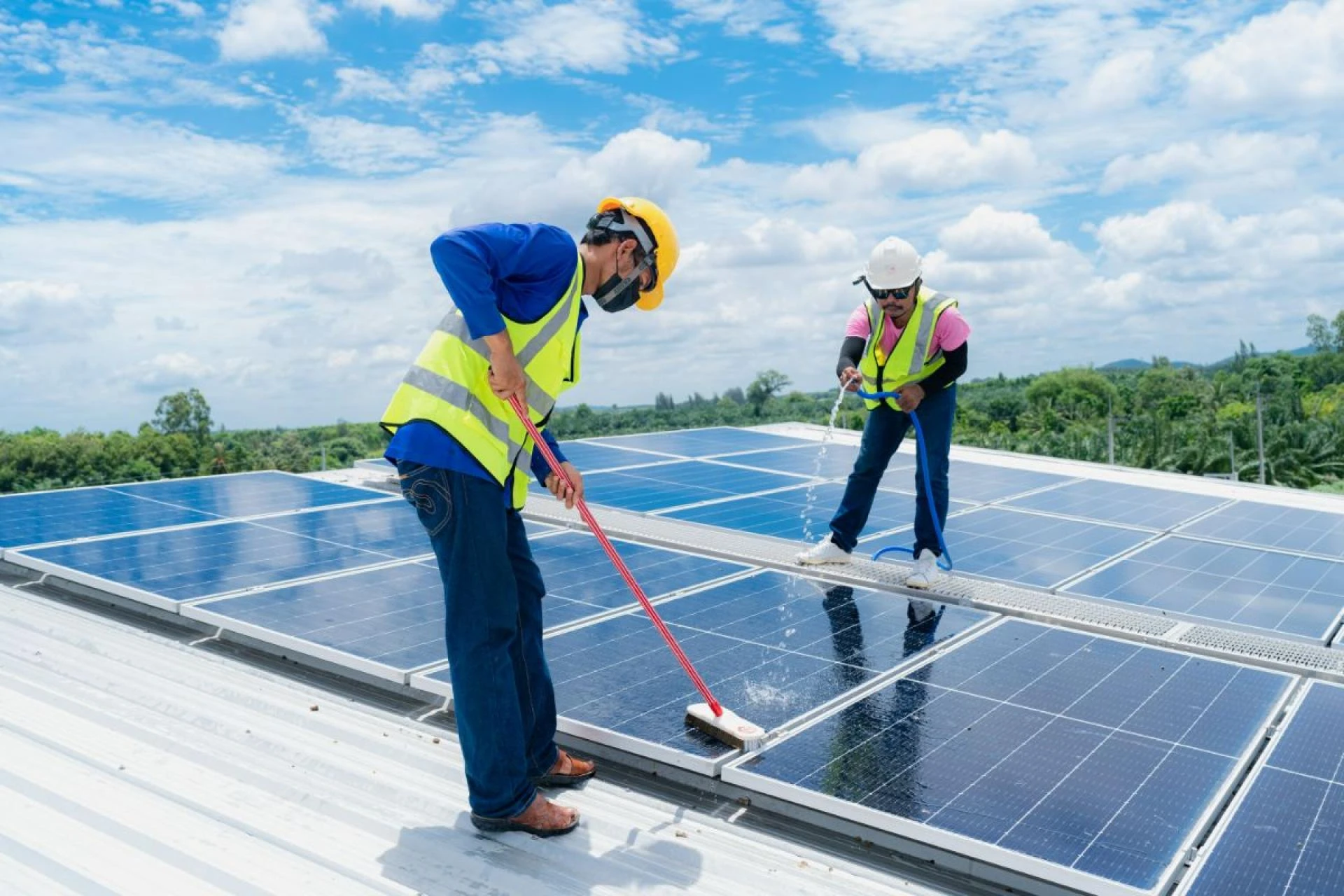 Solar Panel Cleaning and Bird Repellent Solutions in Fresno: A Complete Guide