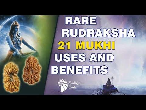 21 Mukhi Rudraksha: The Rare Bead of Kuber for Wealth, Protection & Spiritual Growth