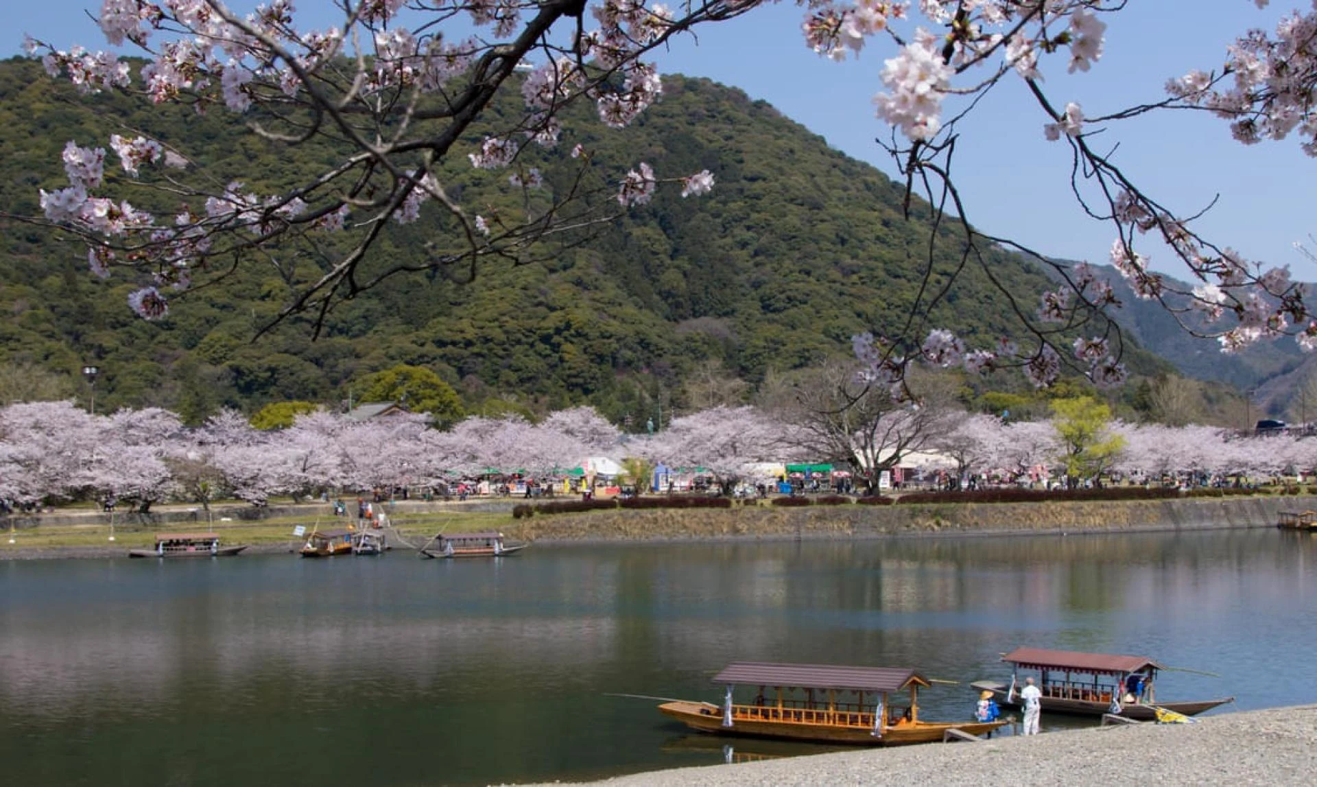 A Complete Travel Guide for Your Next Japan Adventure