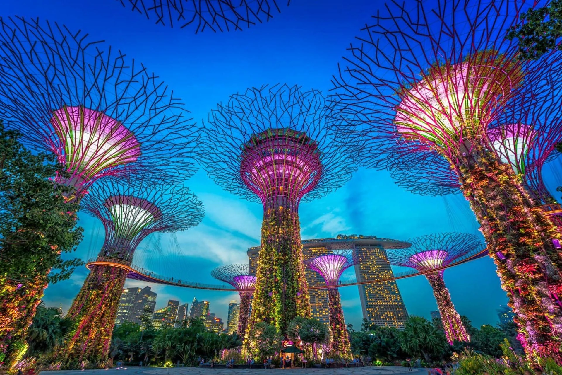 Discovering Singapore: A Traveler's Guide to the Lion City