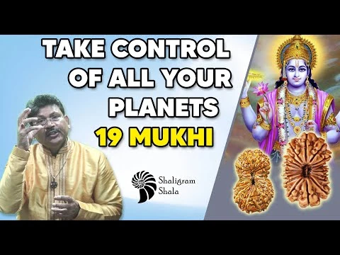 19 Mukhi Rudraksha: The Divine Link to Lord Narayana (Vishnu)