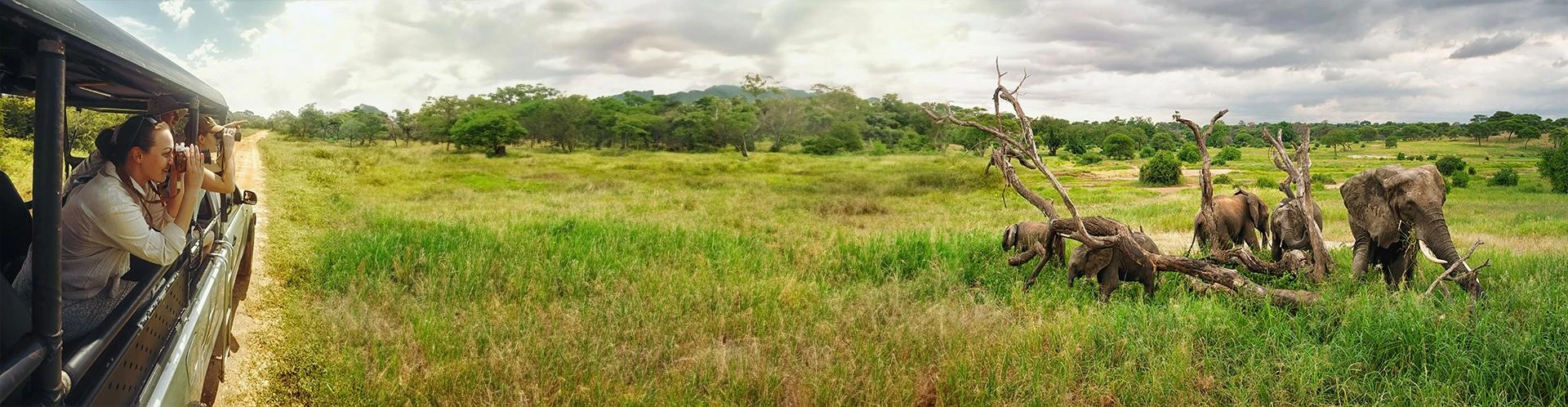 Explore the Wild: Best Tanzania Safari Packages for Every Budget