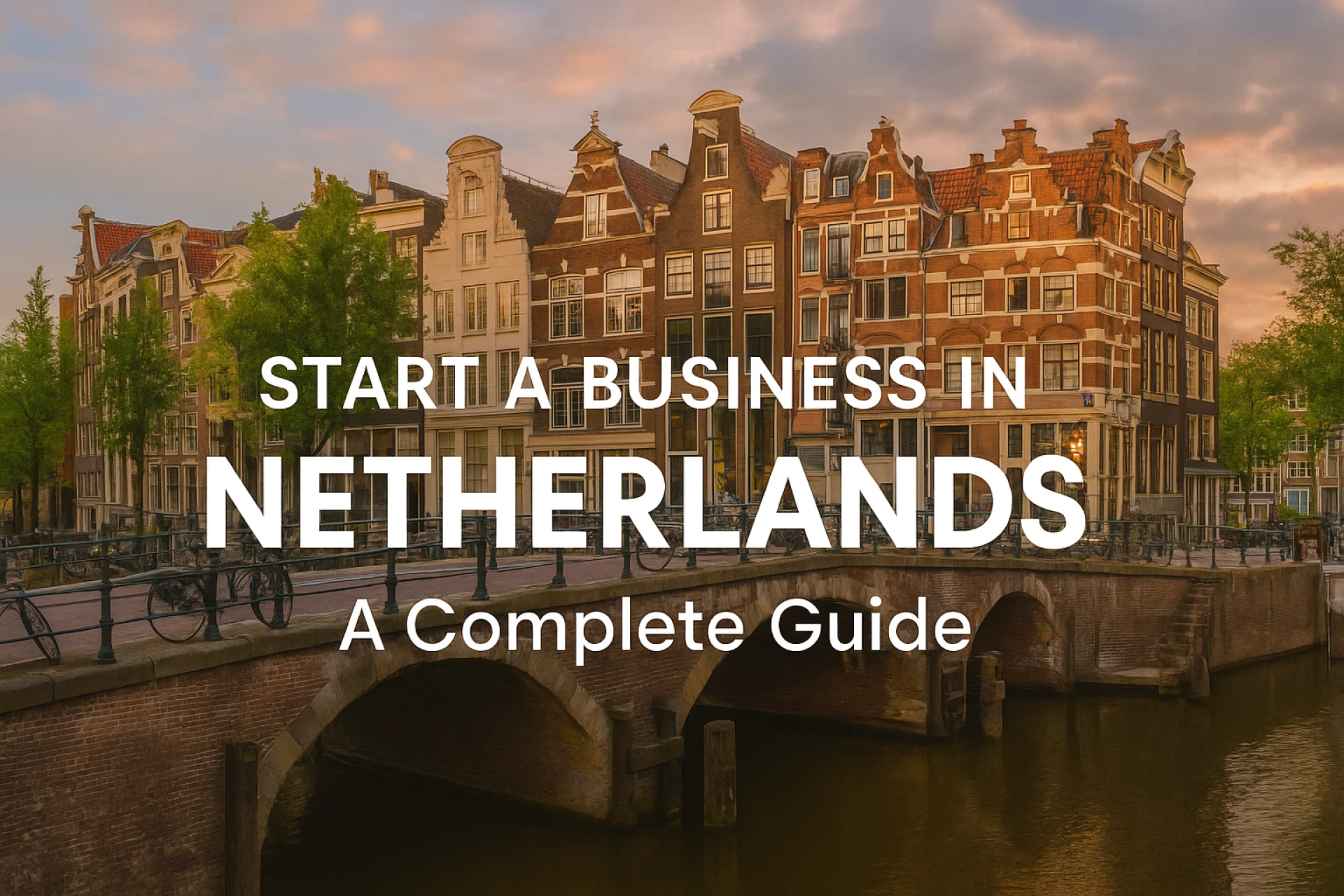 Start a Business in the Netherlands: A Complete Guide 2025