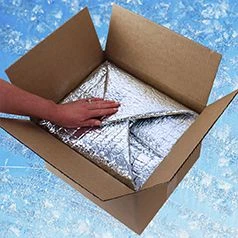 Why Custom Frozen Food Boxes Are Essential for Your Business