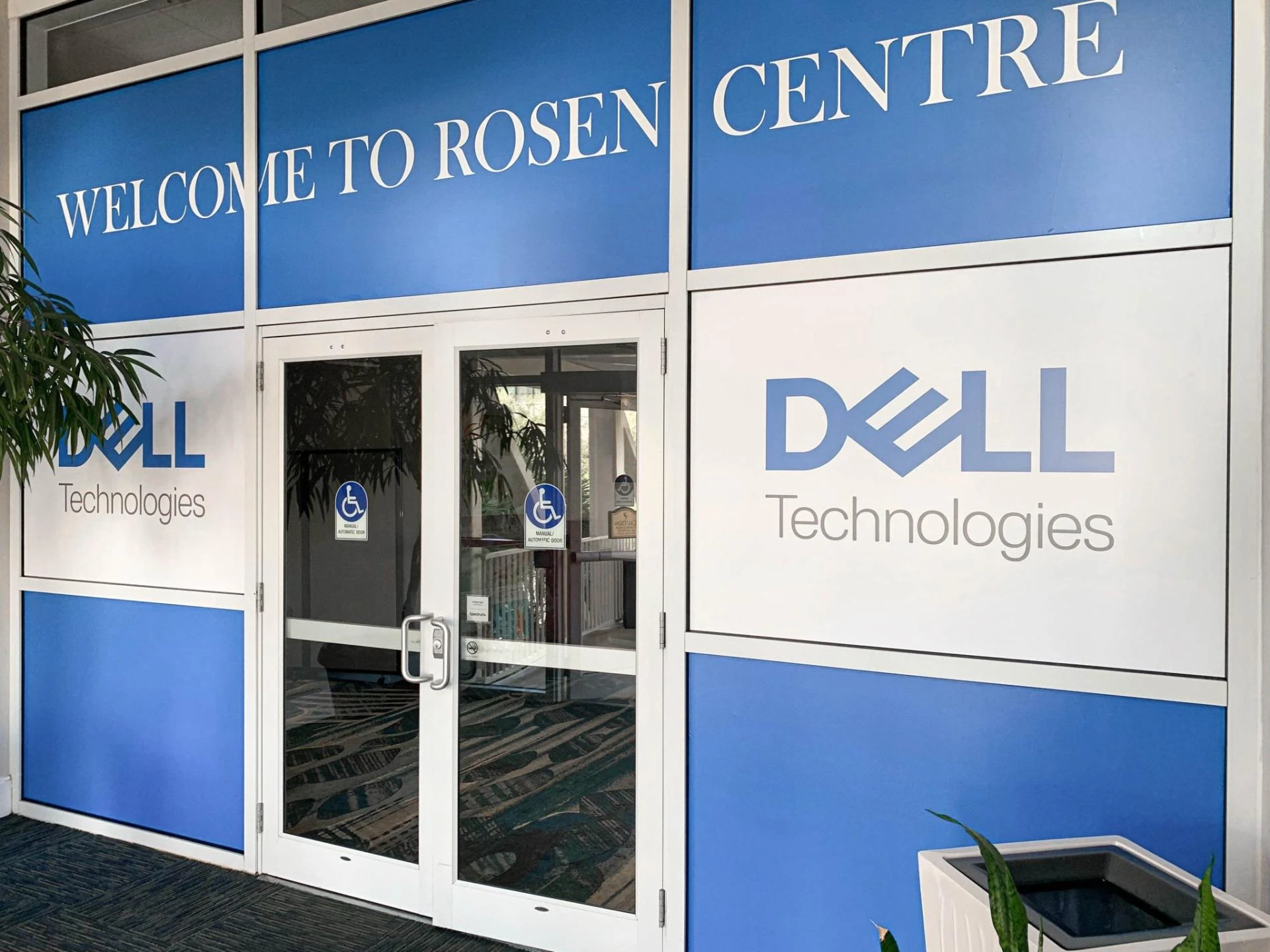 Custom Window Decals: The Budget-Friendly Branding Tool Every Business Needs