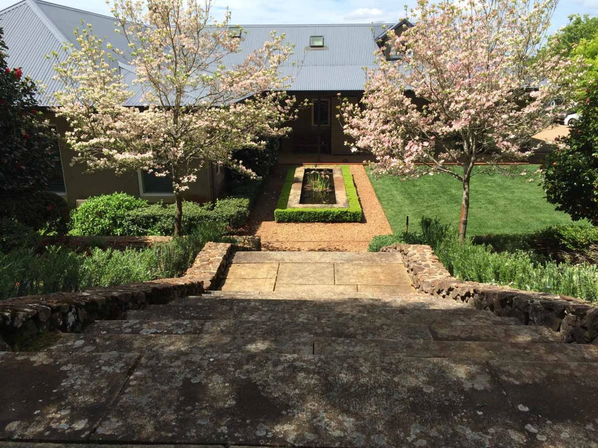 Common Mistakes Ruining the Garden Space Around Your Home