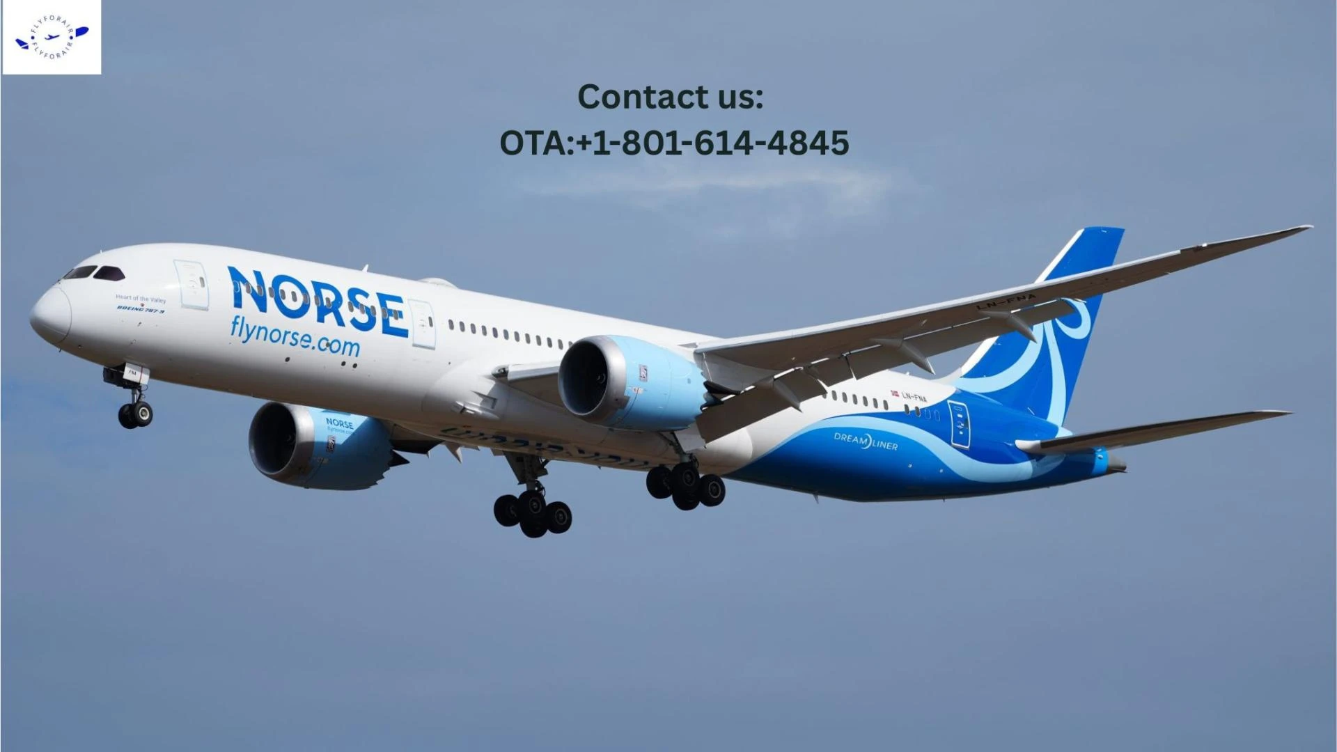 Say Goodbye to Cramped Seats – Try a Norse Atlantic Airways Upgrade