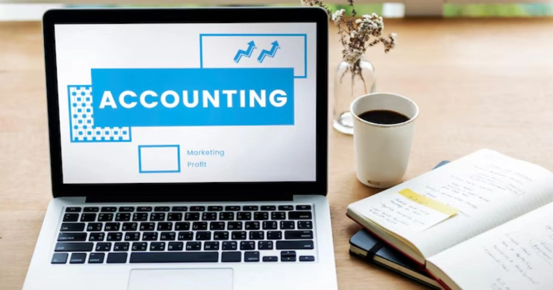 Why CFOs Are Turning to Offshore Accounting Services in 2025