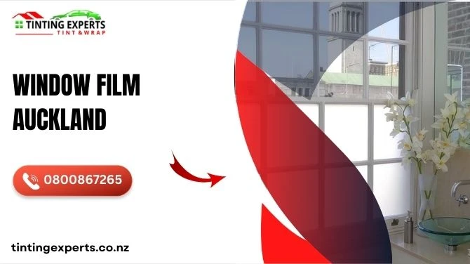 Beyond the View: How Window Films in Auckland Are Transforming Glass for Safety, Style, and Sustainability 