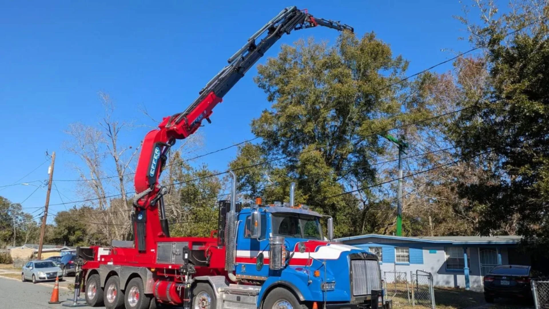 Why Safe and Timely Tree Removal Matters in Jacksonville, FL?