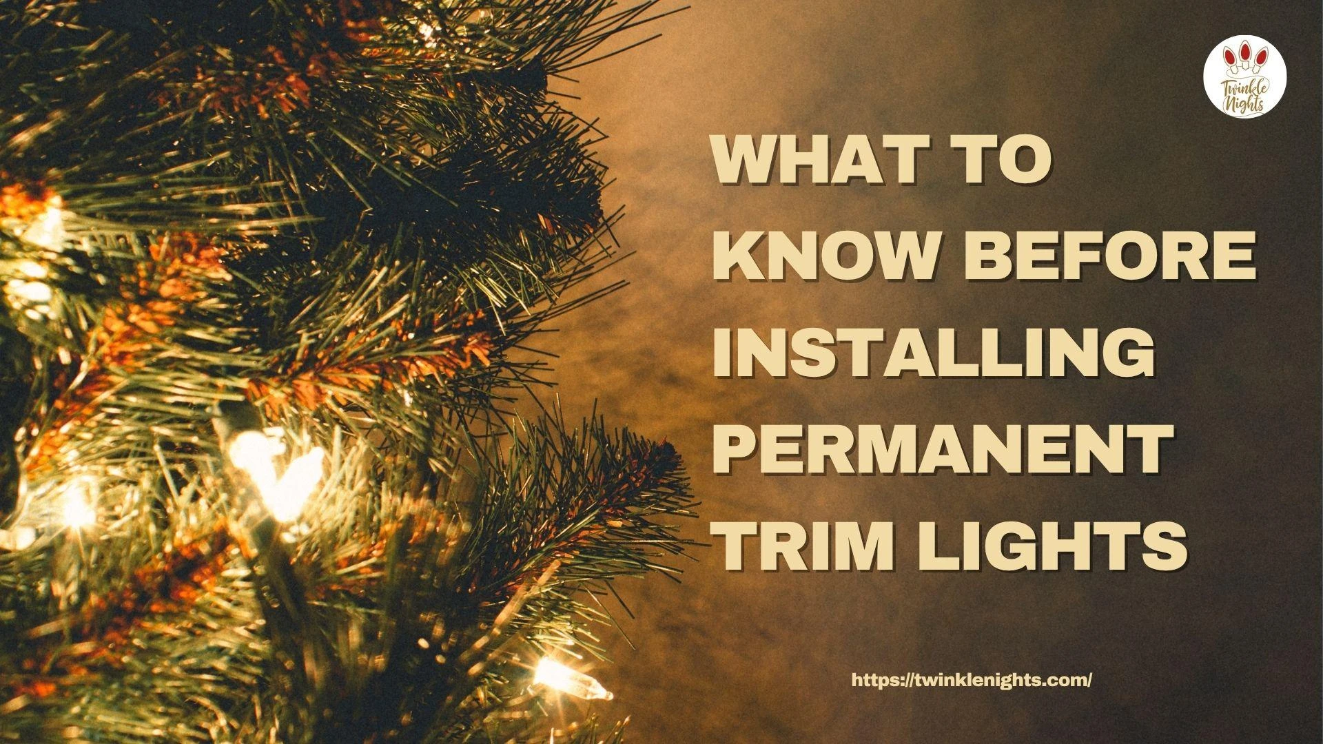What to Know Before Installing Permanent Trim Lights on Your Roofline