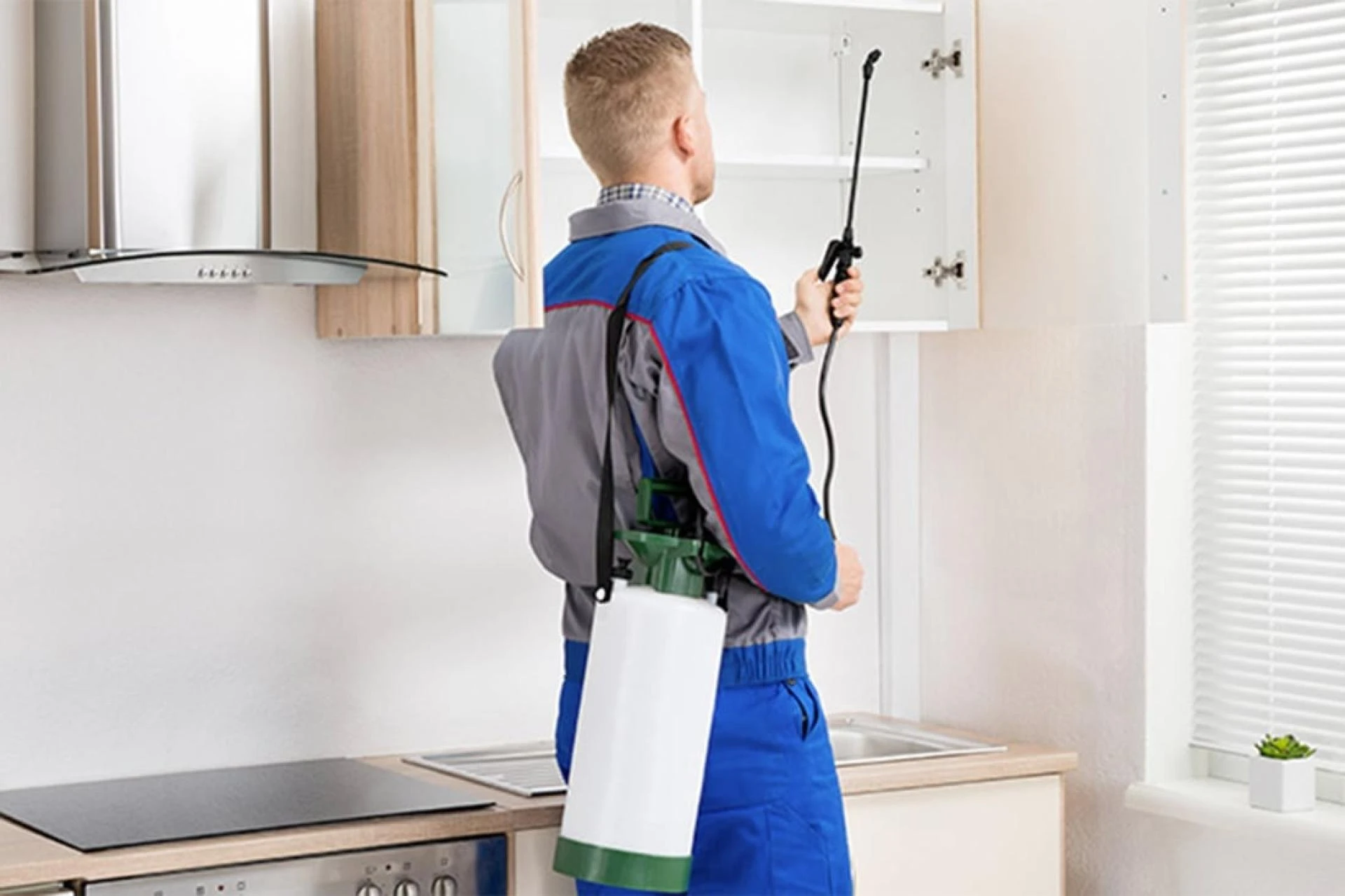 Top 7 Signs You Need Pest Control in Columbus, Ohio Right Now