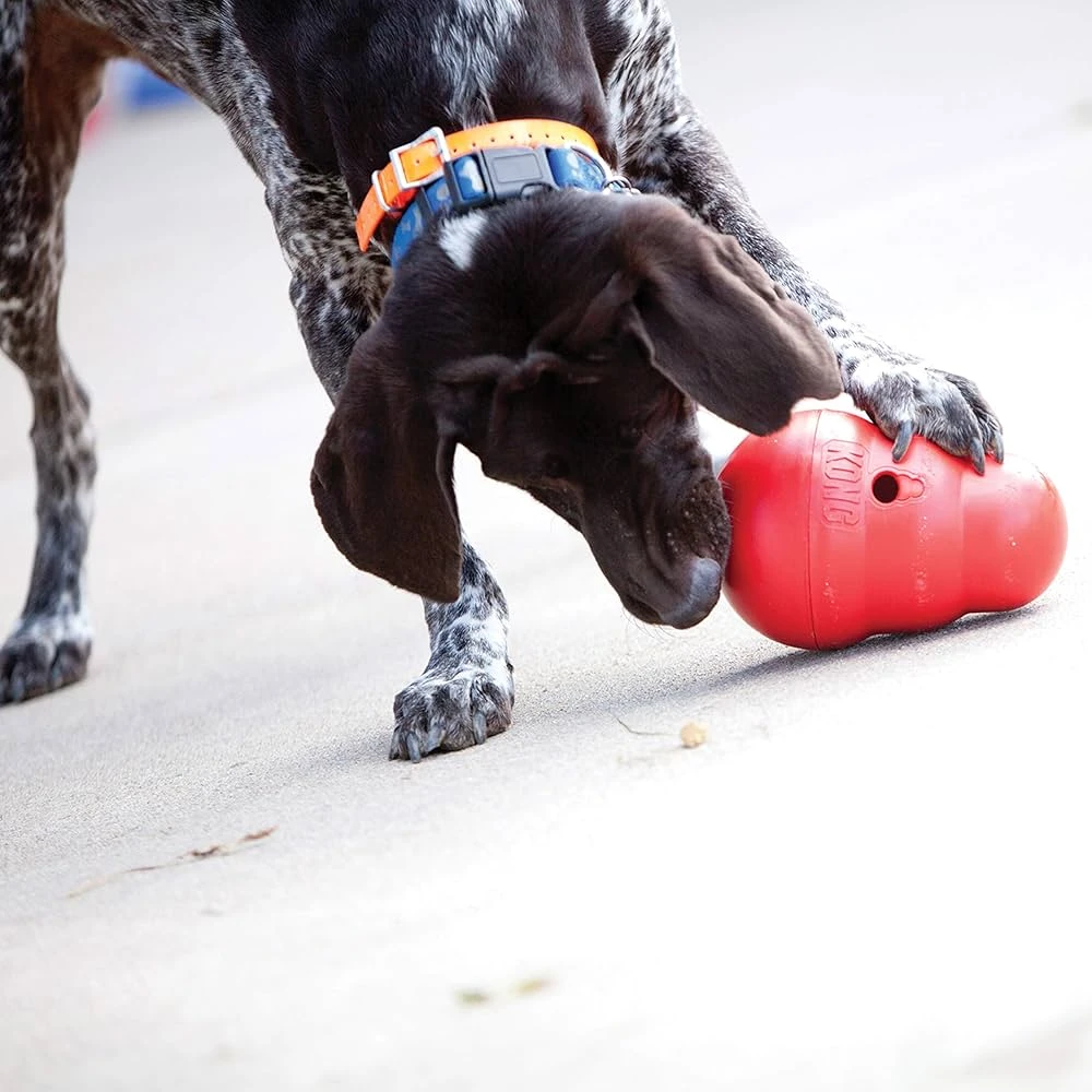  Discover the Joy of the KONG Wobbler: A Fun Toy for Every Dog
