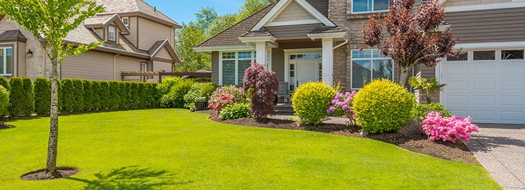 How Lawn Care Services Improve Soil Health and Root Growth