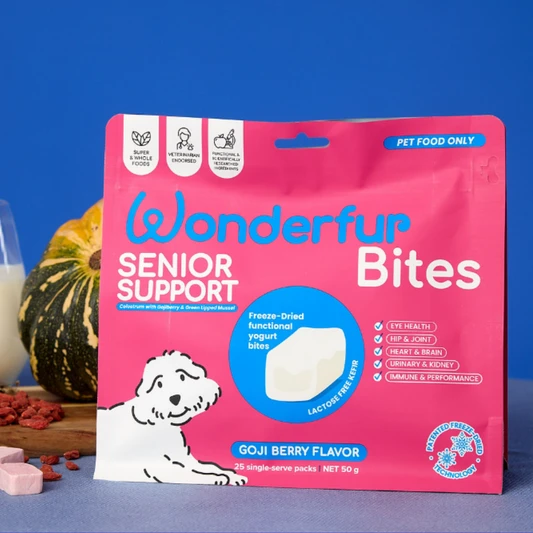 A Guide: Building a Supplement Routine for Your Dog