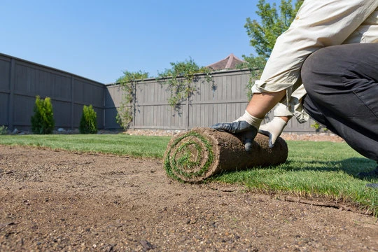 How to Prepare Your Yard for Sod Installation Experts