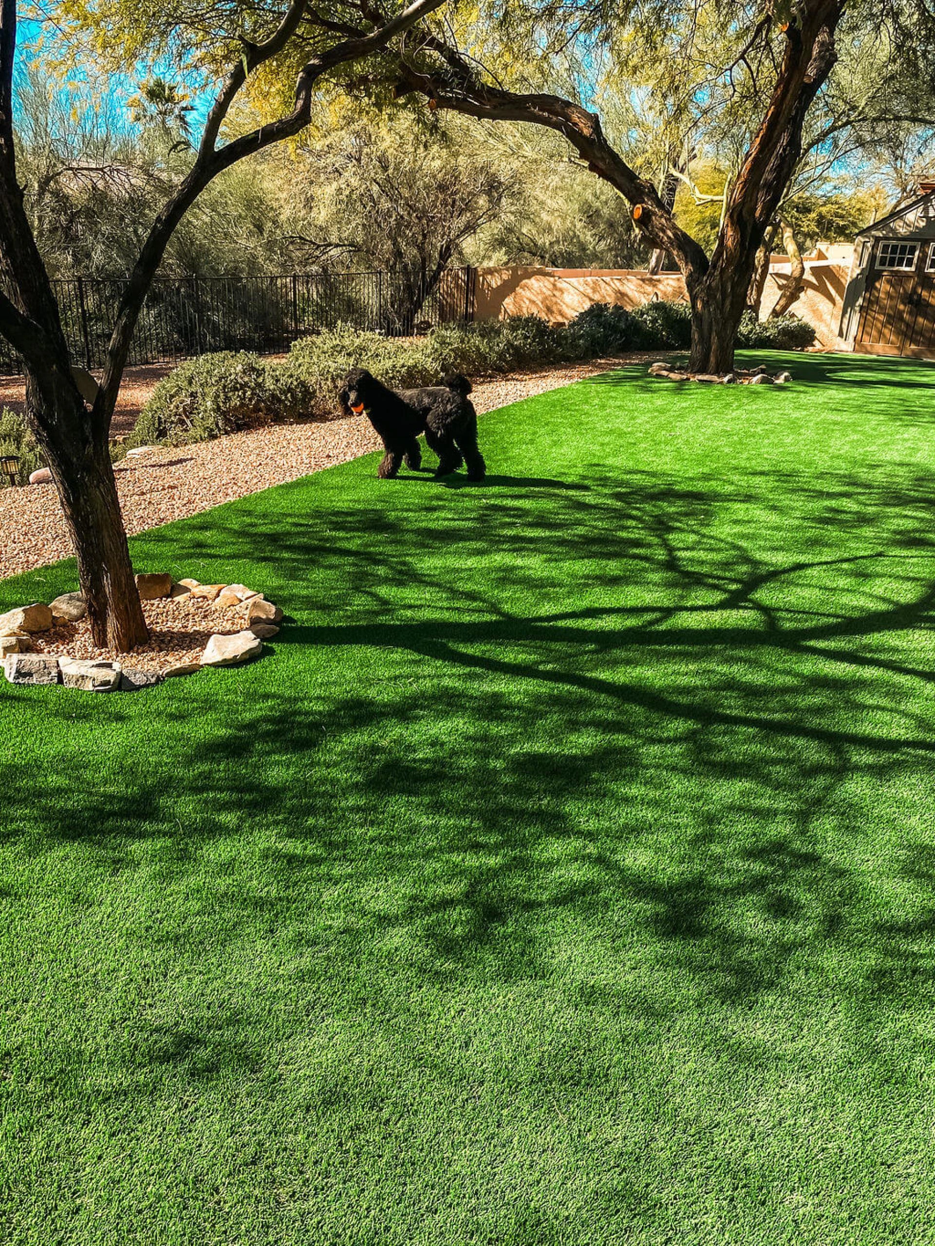 7 Ways to Find a Trusted Artificial Grass Supplier and Distributor in the UAE